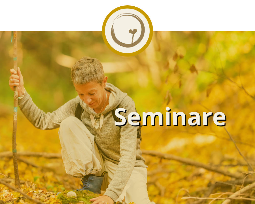 Soul-Seeds Seminare