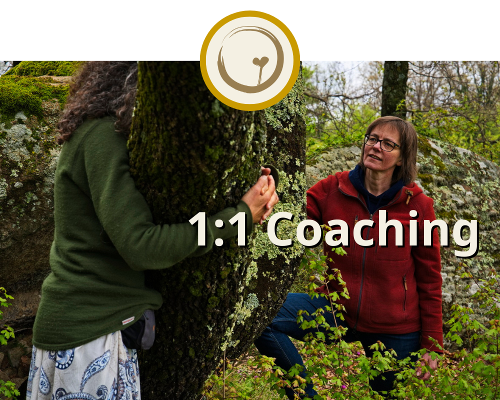Soul-Seeds 11 Coaching